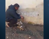 Li Kobaniyê çekdar malên Kurdan talan dikin