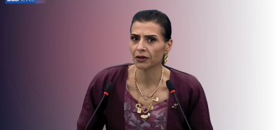 Ew jin a parlamentera ereb ku li Parlamentoya Ewropayê parastina Kurdan kir kî ye?