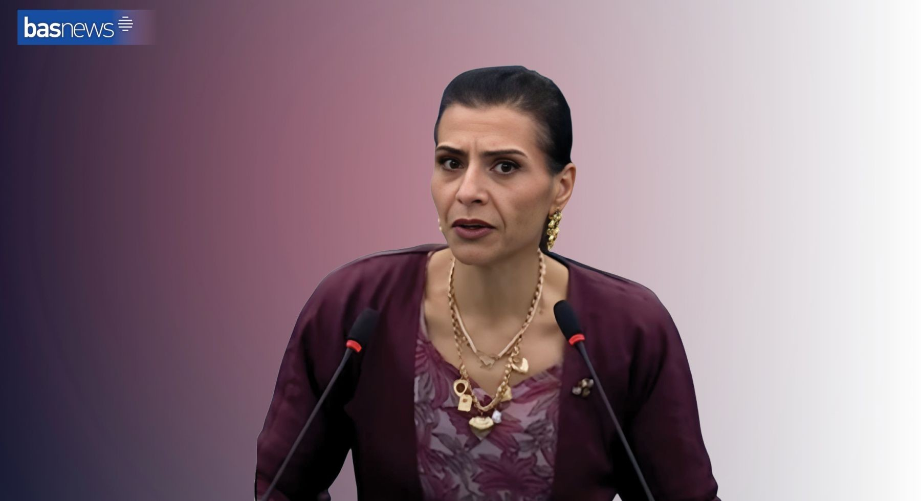 Ew jin a parlamentera ereb ku li Parlamentoya Ewropayê parastina Kurdan kir kî ye?