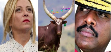 مارەیی بە (100) مانگا