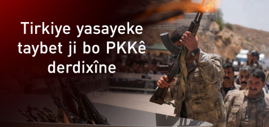 Biryar e yasayeke taybet bi çekdarên PKKê derkeve