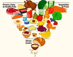 جدل حول الهرم الغذائي… عصر «قليل الدهون» قد يكون وراء السمنة والسكري