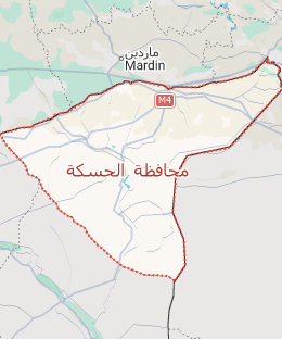 Serokên Eşîrên Hesekê: Kurd û Ereb bi hev re li vê deverê dijîn