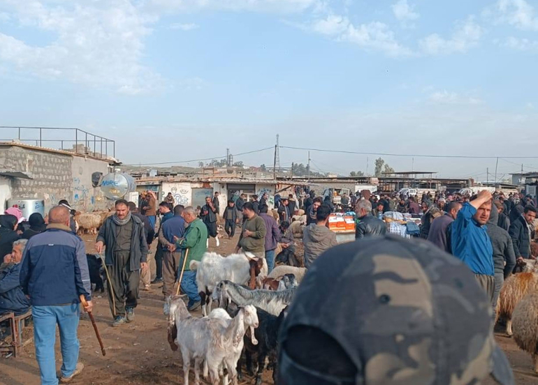 زراعة أربيل تشكل لجنة مشتركة لمنع الذبح غير القانوني في أسواق المواشي