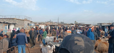 زراعة أربيل تشكل لجنة مشتركة لمنع الذبح غير القانوني في أسواق المواشي