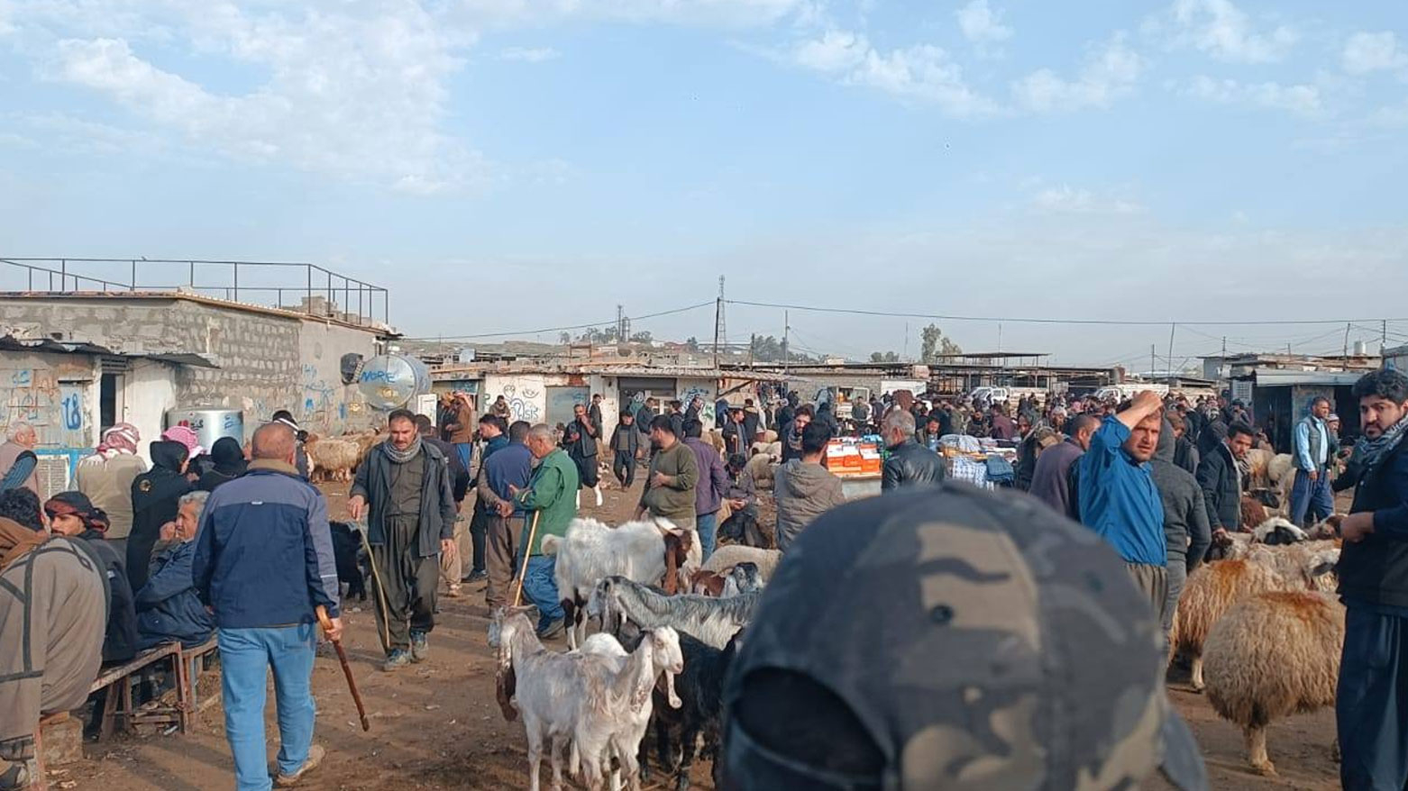 زراعة أربيل تشكل لجنة مشتركة لمنع الذبح غير القانوني في أسواق المواشي