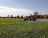 Di çarçoveya pêngava ‘Efrîn Hêja ye’ de, 16 hezar dar hatin çandin