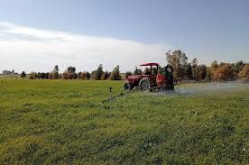 Di çarçoveya pêngava ‘Efrîn Hêja ye’ de, 16 hezar dar hatin çandin
