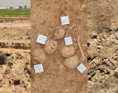 Li Hewlêrê 103 qoqên seriyan hatin dîtin