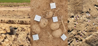 Li Hewlêrê 103 qoqên seriyan hatin dîtin