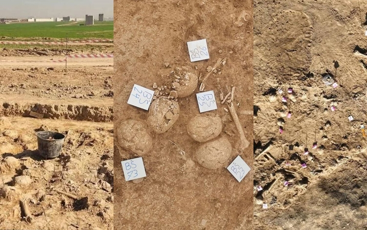 Li Hewlêrê 103 qoqên seriyan hatin dîtin