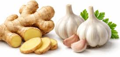 الثوم أم الزنجبيل: أيهما أفضل لصحتك ويدعم مناعتك أكثر؟