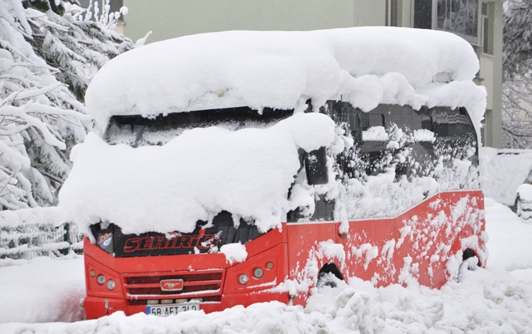 Li Wan, Bedlîs, Colemêrg û Mûşê rêyên 1077 gund û gundikan girtî ne