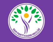 Parlamenterê DEM Partiyê: Eger prose wiha bidome ev ne aştî, lê xapandin e