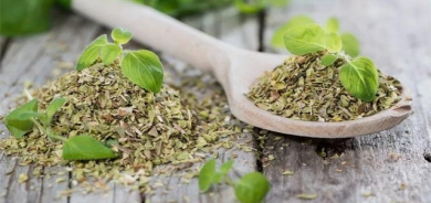 ئۆریگانۆ لە نەخۆشییە درێژخایەنەكان دەتپارێزێت