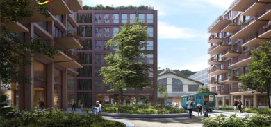 تاوەر و باڵەخانەی نیشتەجێ لە دار