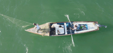 إقليم كوردستان يعلن حظر صيد الأسماك لمدة ثلاثة أشهر