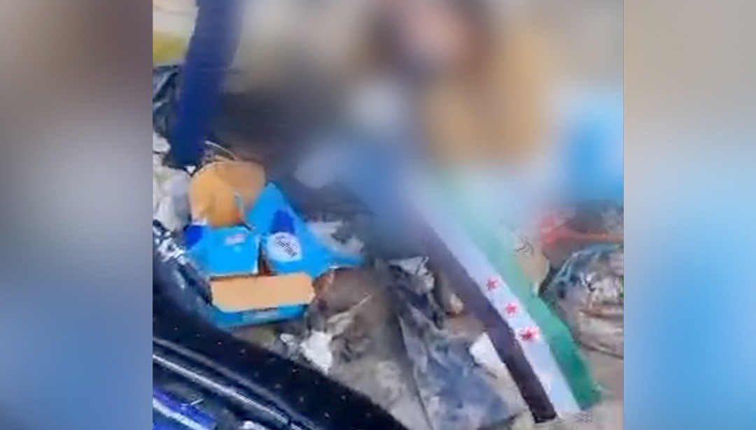 منظمات حقوقية وإنسانية تدين اعتداءات طالت الكورد خلال احتفالات نوروز