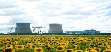 گوڵەبەڕۆژە دژی ئەتۆمە