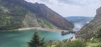 وزيرة الزراعة في حكومة إقليم كوردستان تعلن نجاح خطة 