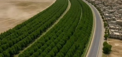 محافظ العاصمة أربيل: المرحلة الأولى من مشروع الحزام الأخضر شارفت على الانتهاء