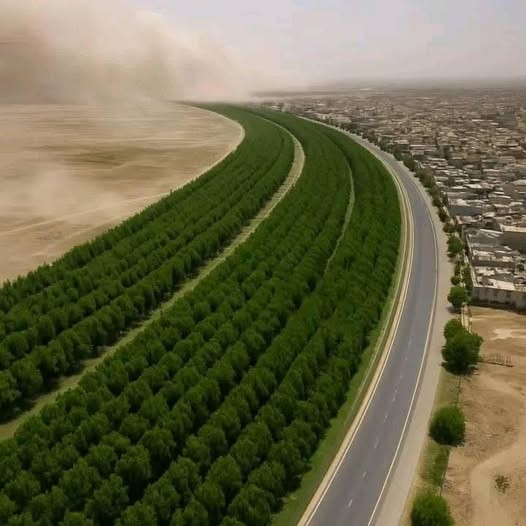 محافظ العاصمة أربيل: المرحلة الأولى من مشروع الحزام الأخضر شارفت على الانتهاء