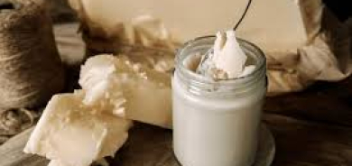 ما تأثير تناول شحم البقر على مستويات الكوليسترول بالدم؟