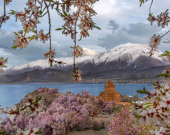 Li Wanê 4emîn Festîvala Kulîlkên Bahîvê ya Akdamarê dest pê dike