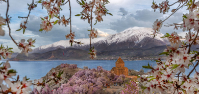 Li Wanê 4emîn Festîvala Kulîlkên Bahîvê ya Akdamarê dest pê dike