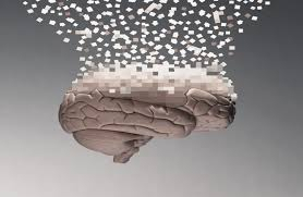 الخمول يسرّع شيخوخة الدماغ... كيف تحمي عقلك؟