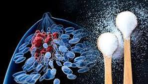 السكر والسرطان… ما الحقيقة وراء هذه العلاقة؟