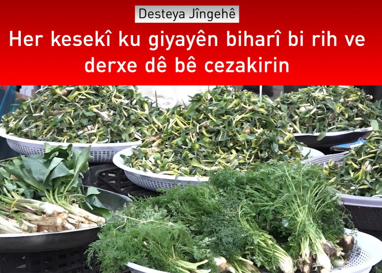 Desteya Jîngehê haydariyê dide welatiyan
