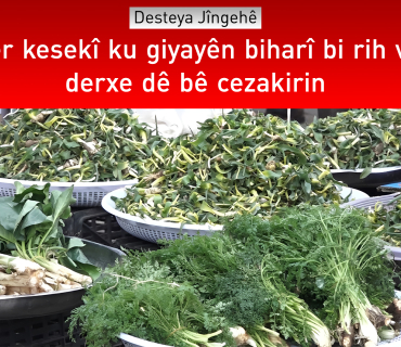 Desteya Jîngehê haydariyê dide welatiyan