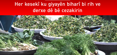 Desteya Jîngehê haydariyê dide welatiyan