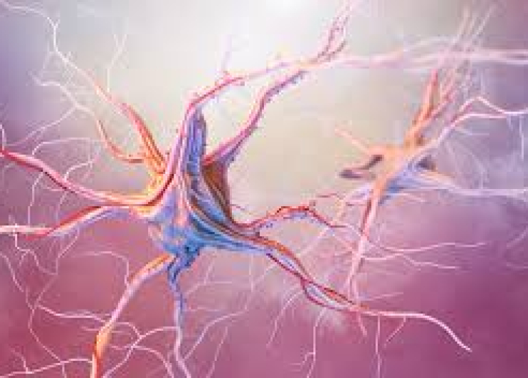 خطوات متقدمة نحو فكّ أسرار الخرف… وأمل جديد لعلاجات مستقبلية