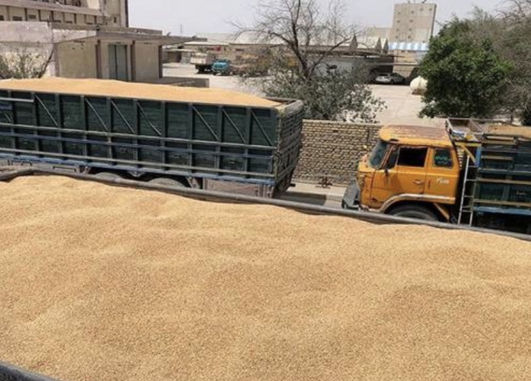 تخصيص أكثر من 8 مليارات دينار لصرف مستحقات مزارعي إقليم كوردستان