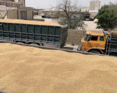 تخصيص أكثر من 8 مليارات دينار لصرف مستحقات مزارعي إقليم كوردستان