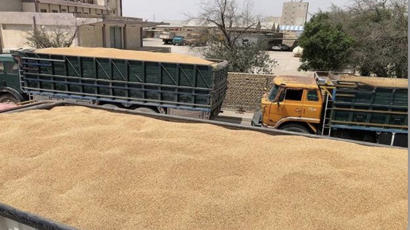 تخصيص أكثر من 8 مليارات دينار لصرف مستحقات مزارعي إقليم كوردستان