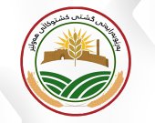 زراعة أربيل تعلن صرف وجبة جديدة من مستحقات المزارعين الأسبوع المقبل