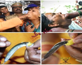 ماسییەكی زیندوو بۆ چارەسەری نەخۆشی