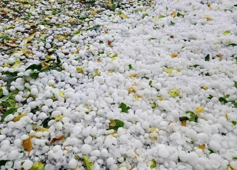 زراعة رابرين: أضرار الأمطار الأخيرة محدودة ولم تصل لمرحلة الخطورة على المحاصيل