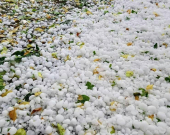 زراعة رابرين: أضرار الأمطار الأخيرة محدودة ولم تصل لمرحلة الخطورة على المحاصيل