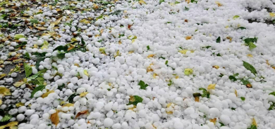 زراعة رابرين: أضرار الأمطار الأخيرة محدودة ولم تصل لمرحلة الخطورة على المحاصيل