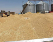 تجارة كوردستان تعلن موعد صرف دفعة جديدة من مستحقات الفلاحين