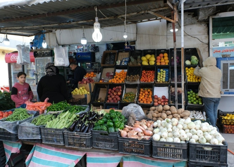 انخفاض أسعار الطماطة والمحاصيل الزراعية في أسواق إقليم كوردستان مع وصول الإنتاج العراقي