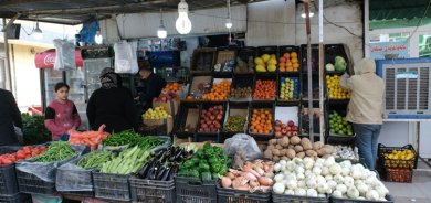 انخفاض أسعار الطماطة والمحاصيل الزراعية في أسواق إقليم كوردستان مع وصول الإنتاج العراقي