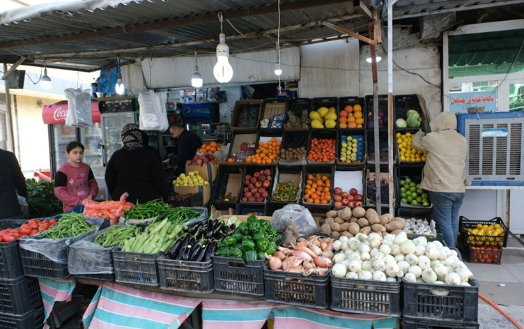 انخفاض أسعار الطماطة والمحاصيل الزراعية في أسواق إقليم كوردستان مع وصول الإنتاج العراقي