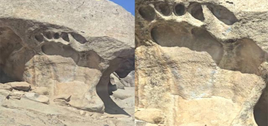 سەیرترین نمایشی شوێنەواری سرووشتی