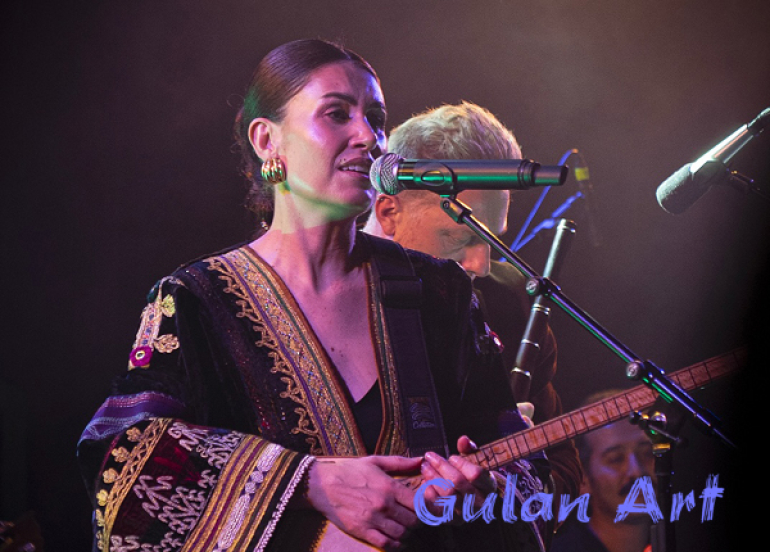 لە پاریس فێستیڤاڵی نێودەوڵەتی و سەربەخۆی مۆسیقای«Birkleyn Sound Festival» ساز كرا كە لەلایەن مۆسیقاژەنێكی كوردەوە دامەزراوە