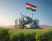 الأول من نوعه على مستوى العراق.. إنشاء أضخم مصنع لإنتاج السكر الطبيعي في دهوك